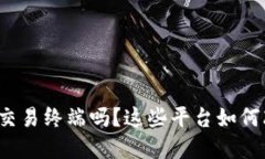 你了解虚拟币交易终端吗？这些平台如何改变交