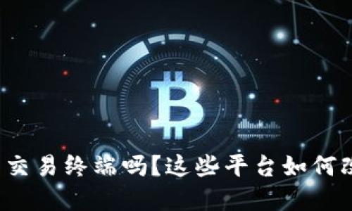 你了解虚拟币交易终端吗？这些平台如何改变交易方式？