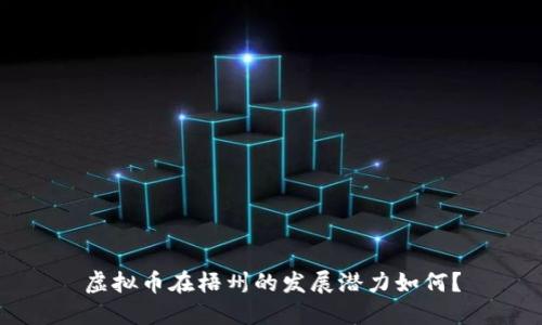虚拟币在梧州的发展潜力如何？