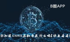 你知道CNMB虚拟币是什么吗？快来看看！