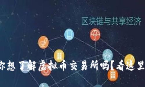 你想了解虚拟币交易所吗？看这里！
