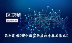 你知道吗？哪个国家的虚拟币技术最火？