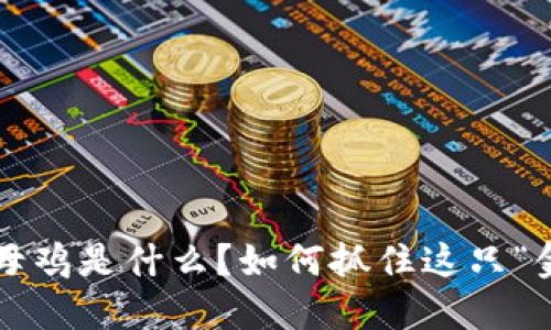 虚拟币母鸡是什么？如何抓住这只“金蛋蛋”？