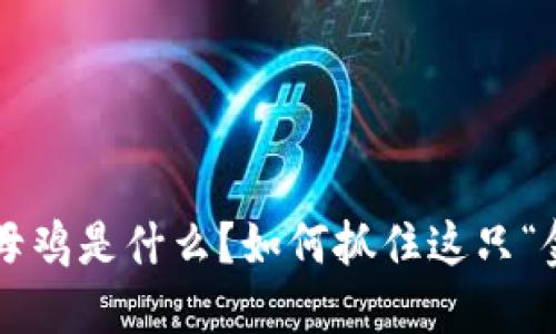 虚拟币母鸡是什么？如何抓住这只“金蛋蛋”？