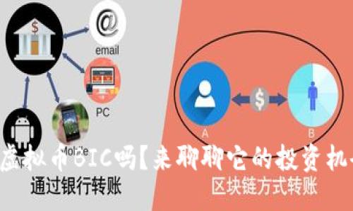 你听说过虚拟币BIC吗？来聊聊它的投资机会与风险！