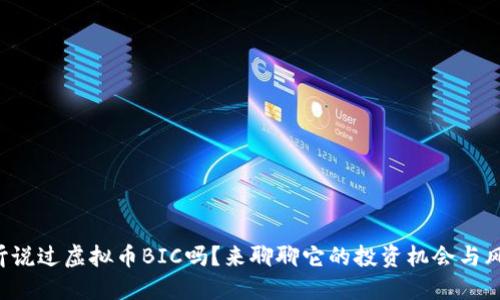 你听说过虚拟币BIC吗？来聊聊它的投资机会与风险！