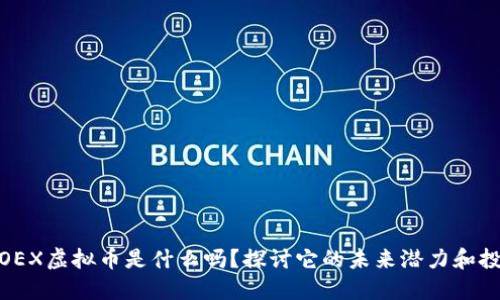 你知道OEX虚拟币是什么吗？探讨它的未来潜力和投资机会