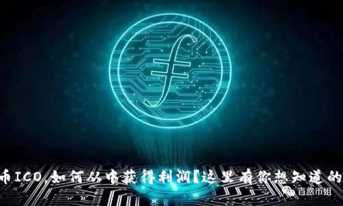 虚拟币ICO，如何从中获得利润？这里有你想知道的全部！
