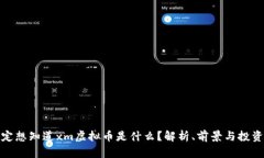 你一定想知道xm虚拟币是什么？解析、前景与投资