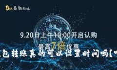 虚拟币钱包转账真的可以设置时间吗？听说过吗
