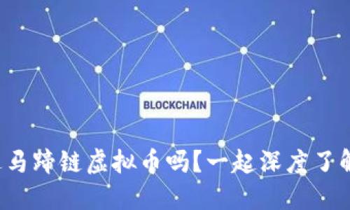 你听说过马蹄链虚拟币吗？一起深度了解一下吧！