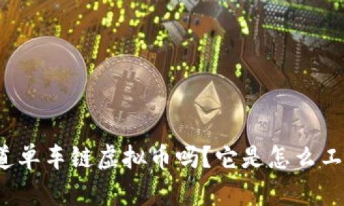 你知道单车链虚拟币吗?它是怎么工作的?