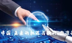 虚拟币在中国：未来的机遇与挑战，你准备好了