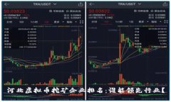 河北虚拟币挖矿企业排名：谁能领先行业？