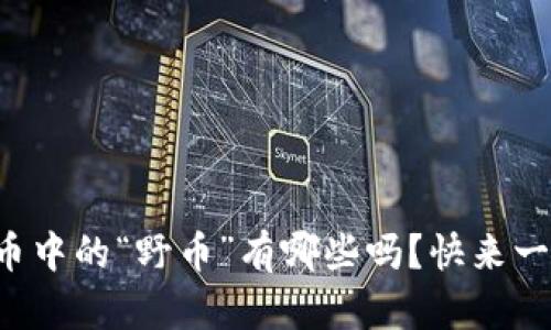 你知道虚拟币中的“野币”有哪些吗？快来一起了解一下！
