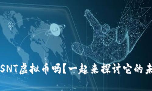 你听说过PSNT虚拟币吗？一起来探讨它的未来与潜力！