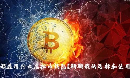 你们都在用什么虚拟币钱包？聊聊我的选择和使用体验