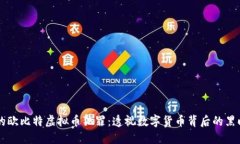 鄂州的欧比特虚拟币犯罪：透视数字货币背后的