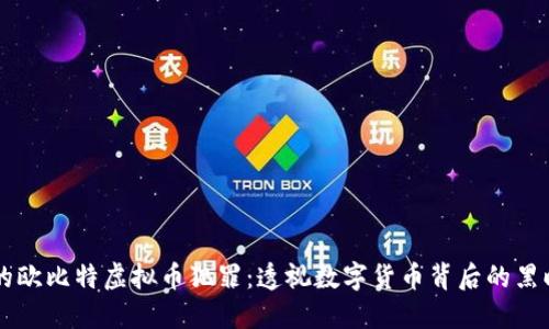 鄂州的欧比特虚拟币犯罪：透视数字货币背后的黑暗交易