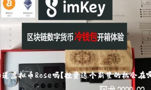 你知道虚拟币Rose吗？投资这个新星的机会在哪里？