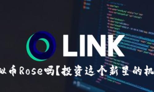 你知道虚拟币Rose吗？投资这个新星的机会在哪里？