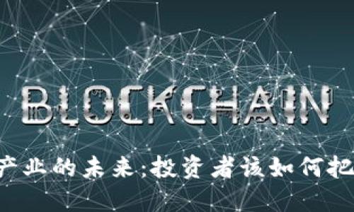 虚拟币产业的未来:投资者该如何把握机会?