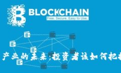 虚拟币产业的未来：投资者该如何把握机会？