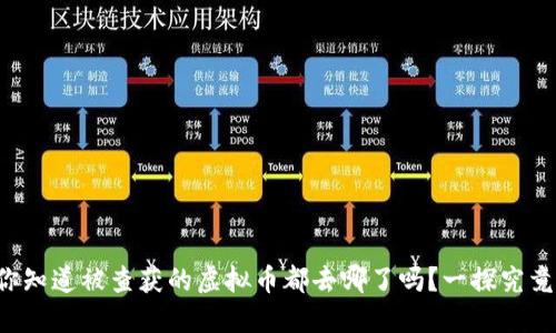 你知道被查获的虚拟币都去哪了吗?一探究竟!