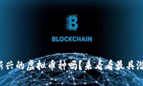 你听说过这些新兴的虚拟币种吗？来看看最具潜力的投资选择！