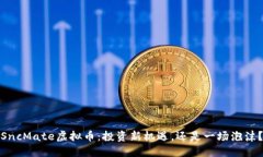 SncMate虚拟币：投资新机遇，还是一场泡沫？