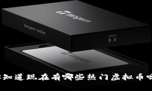 你知道现在有哪些热门虚拟币吗?