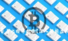 新加坡币能否与比特币抗衡？深入解析虚拟货币