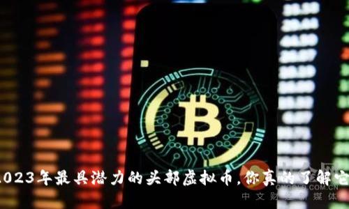 探秘2023年最具潜力的头部虚拟币,你真的了解它们吗?