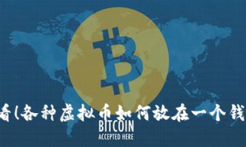 怎么看!各种虚拟币如何放在一个钱包里?