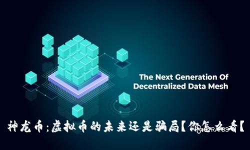 神龙币：虚拟币的未来还是骗局？你怎么看？