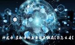 神龙币：虚拟币的未来还是骗局？你怎么看？
