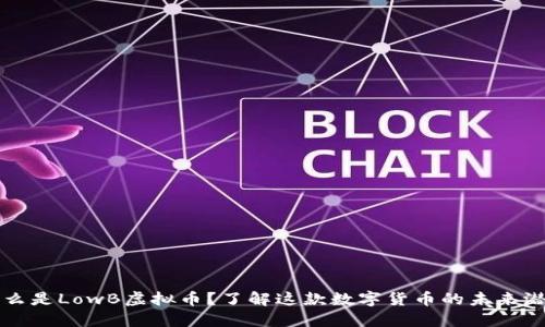 什么是LowB虚拟币？了解这款数字货币的未来潜力
