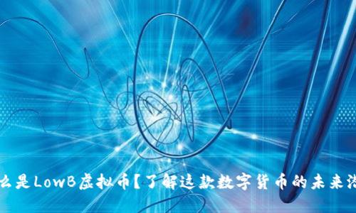 什么是LowB虚拟币？了解这款数字货币的未来潜力