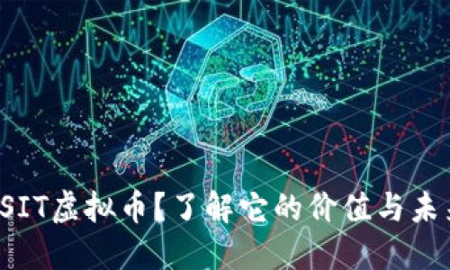 什么是SIT虚拟币？了解它的价值与未来发展！