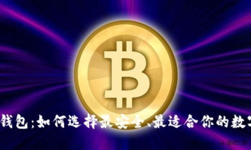 炒虚拟币的钱包：如何选择最安全、最适合你的数字货币钱包？