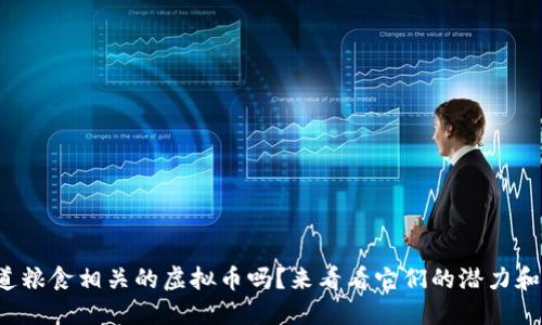 你知道粮食相关的虚拟币吗？来看看它们的潜力和挑战！