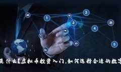 sLp币是什么？虚拟币投资入门，如何选择合适的