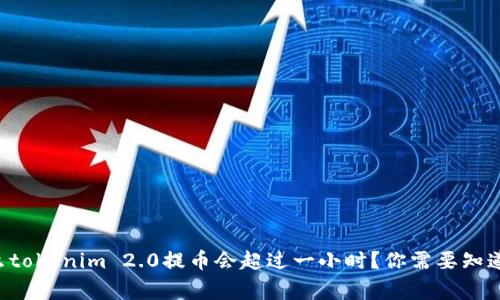 为什么tokenim 2.0提币会超过一小时?你需要知道的事!