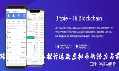 马蹄币是什么?深入探讨这款虚拟币的潜力与前景