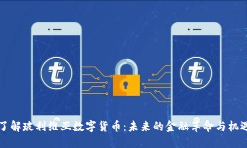 了解玻利维亚数字货币:未来的金融革命与机遇