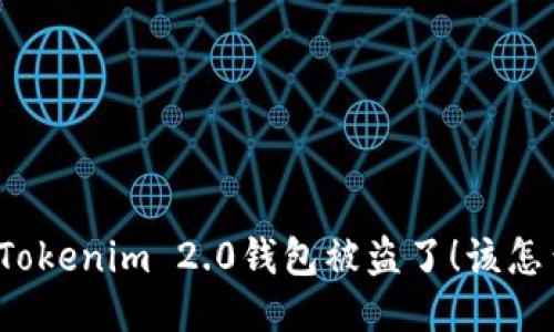我的Tokenim 2.0钱包被盗了！该怎么办？