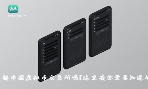 想要了解中国虚拟币交易所吗?这里有你需要知道的一切!