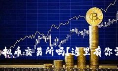 想要了解中国虚拟币交易所吗？这里有你需要知