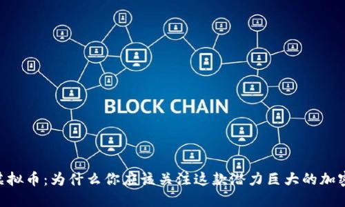 PERP虚拟币：为什么你应该关注这款潜力巨大的加密货币？