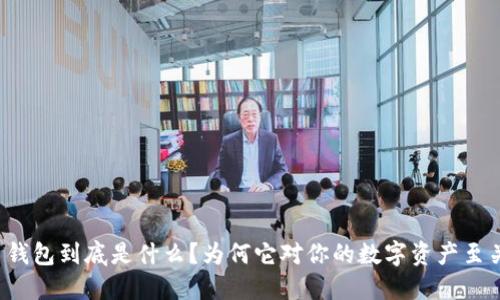 虚拟币钱包到底是什么?为何它对你的数字资产至关重要?
